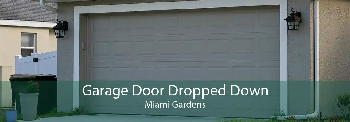 Garage Door Dropped Down Miami Gardens