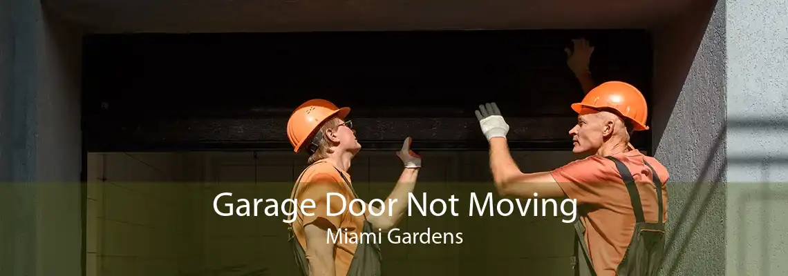 Garage Door Not Moving Miami Gardens